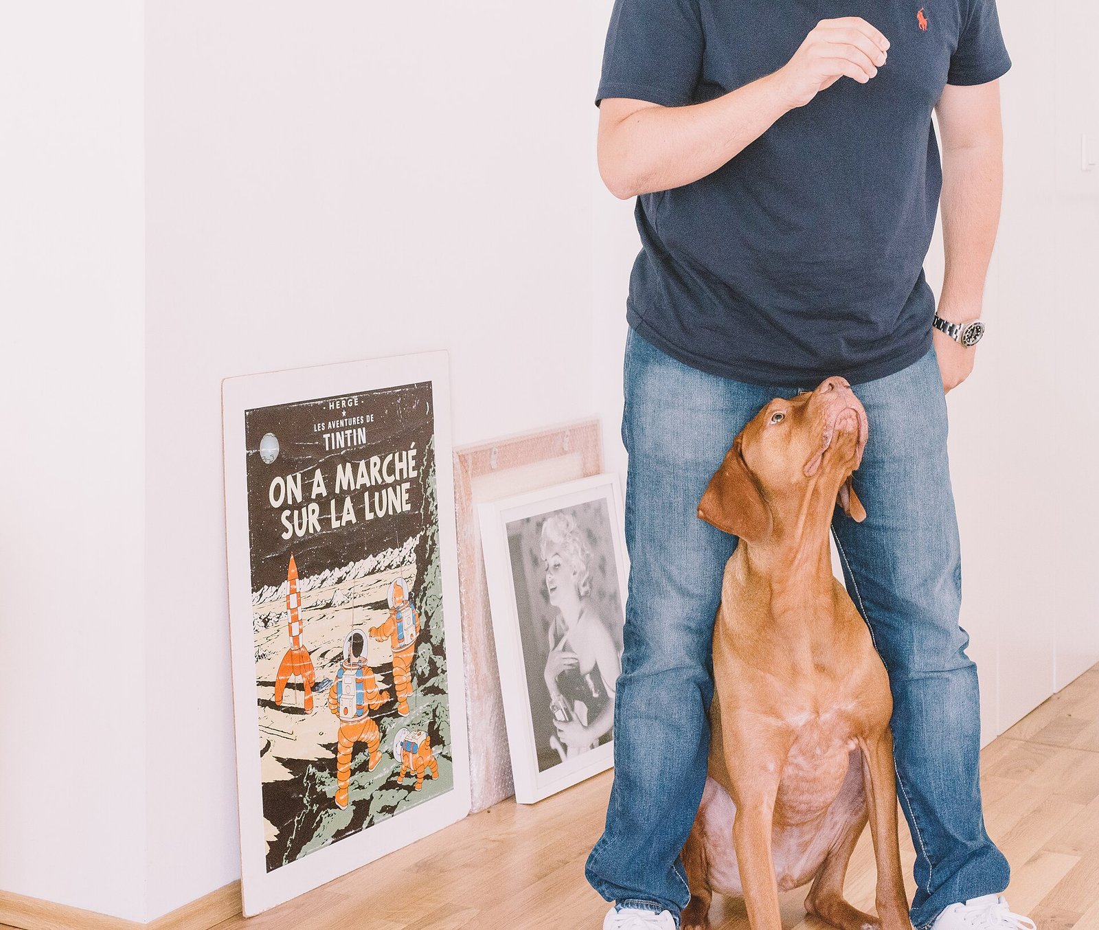 Owner holding a treat over a dog